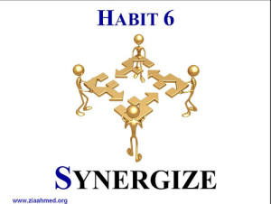 Covey's 6th Habit Synergize